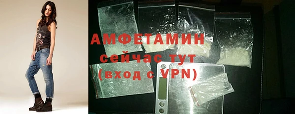 дживик Абаза