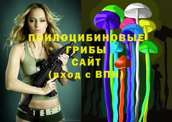 прущие крисы Абинск
