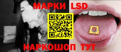 spice Новодвинск