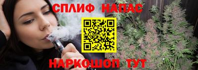 spice Новодвинск