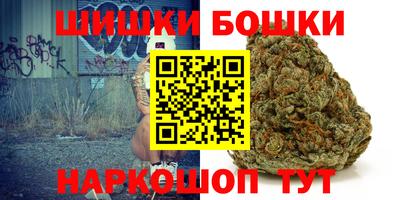 прущие крисы Новозыбков
