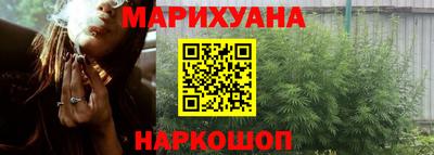 прущие крисы Новозыбков