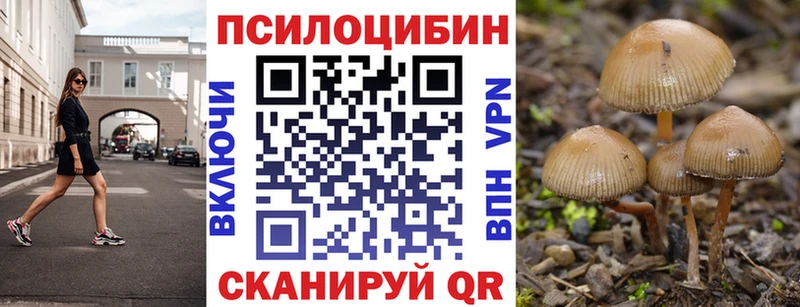 Галлюциногенные грибы ЛСД  купить наркотики сайты  Азов 