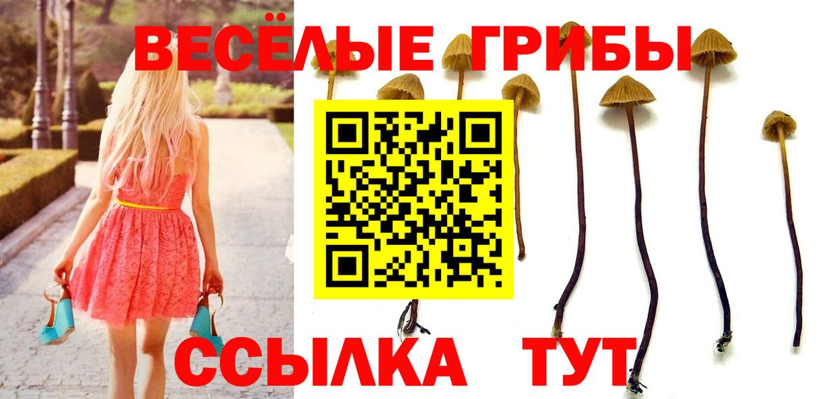 Галлюциногенные грибы Psilocybe  Вход с VPN  Азов 