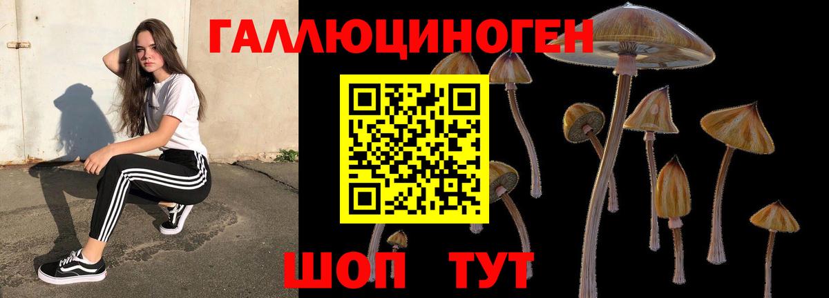Галлюциногенные грибы мицелий Азов